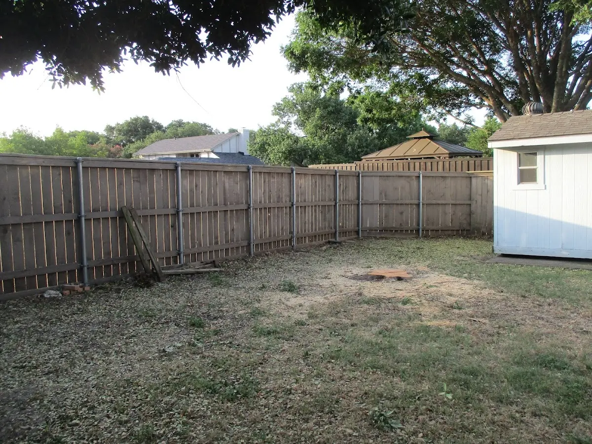 Cleared yard after professional tree removal in Cuddy