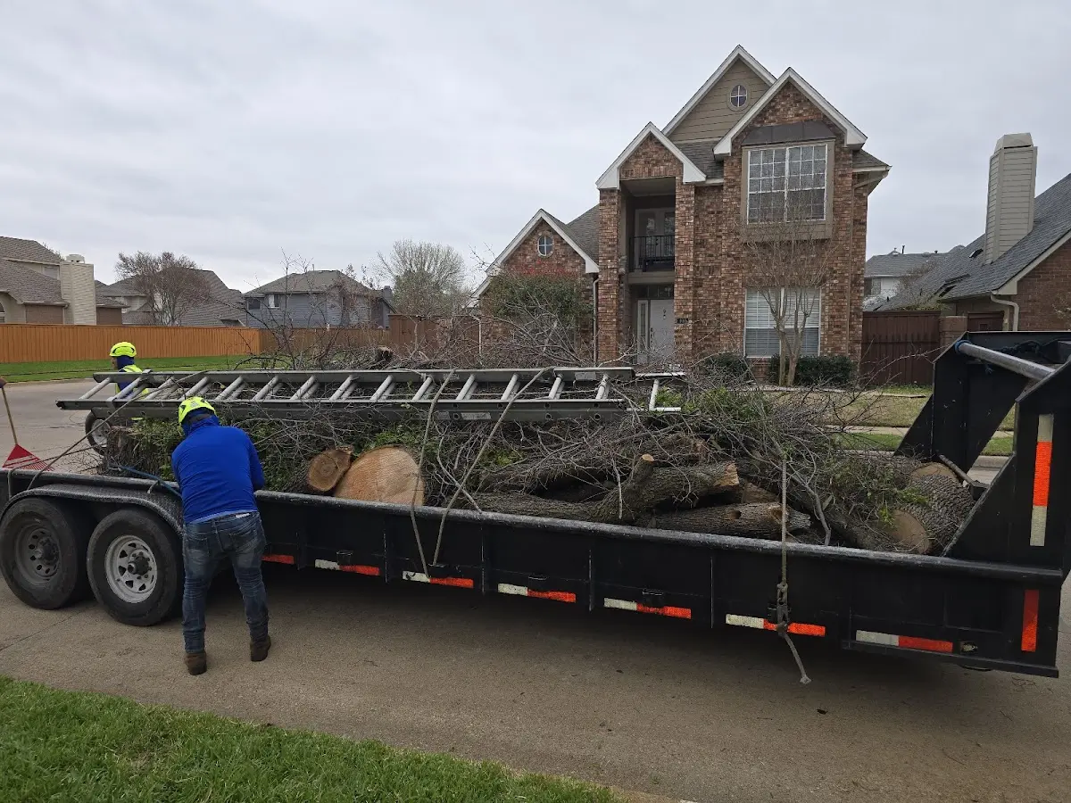 Expert Lot Clearing with proper safety equipment in Cuddy